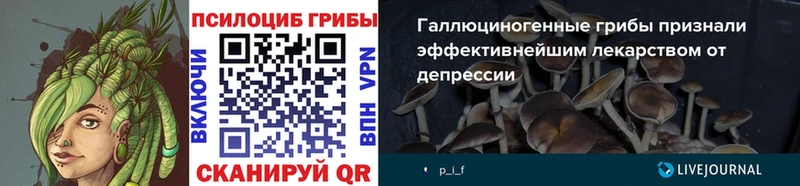 Псилоцибиновые грибы Magic Shrooms  Новопавловск 