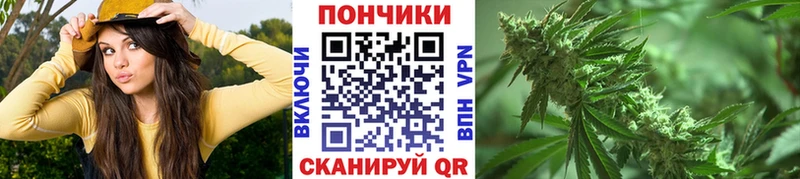 OMG ссылки  Новопавловск  Шишки марихуана MAZAR 